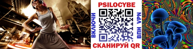где найти Бокситогорск Галлюциногенные грибы мицелий