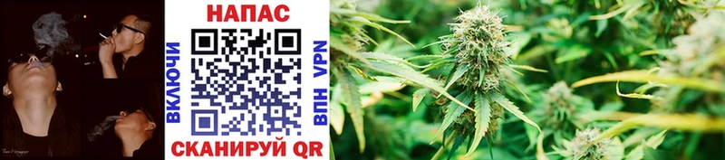 Бошки марихуана White Widow  Бокситогорск 